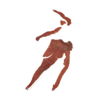 © Sarah Heckles All rights reserved. © Sarah Heckles