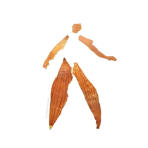 © Sarah Heckles All rights reserved. © Sarah Heckles