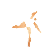 © 2019 Sarah Heckles. All Rights Reserved. © Sarah Heckles