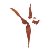 © Sarah Heckles All rights reserved. © Sarah Heckles