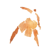 The Dispatcher © Sarah Heckles