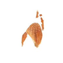 © 2019 Sarah Heckles. All Rights Reserved. © Sarah Heckles