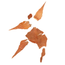 SarahHeckles_2020_WonderWind @ Sarah Heckles