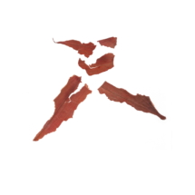 SarahHeckles_2021_06_22_AerialGold @ Sarah Heckles